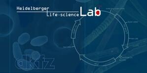 Lie Science Lab