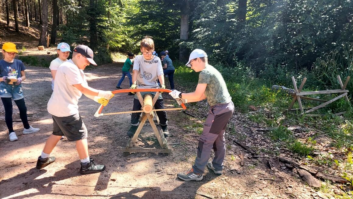 Spannender Waldtag der 5. Klassen