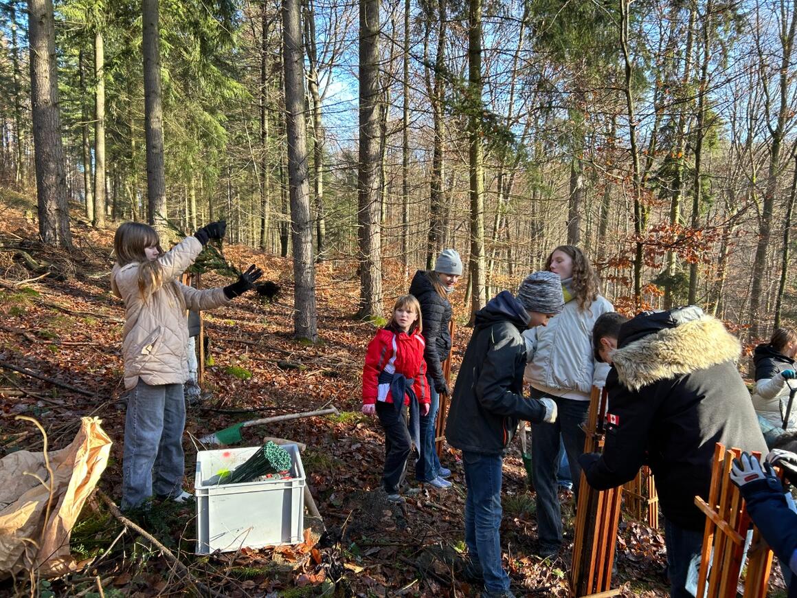 Baumpflanzaktion der 5. Klassen
